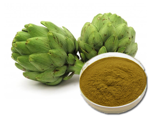 Artichoke Extract