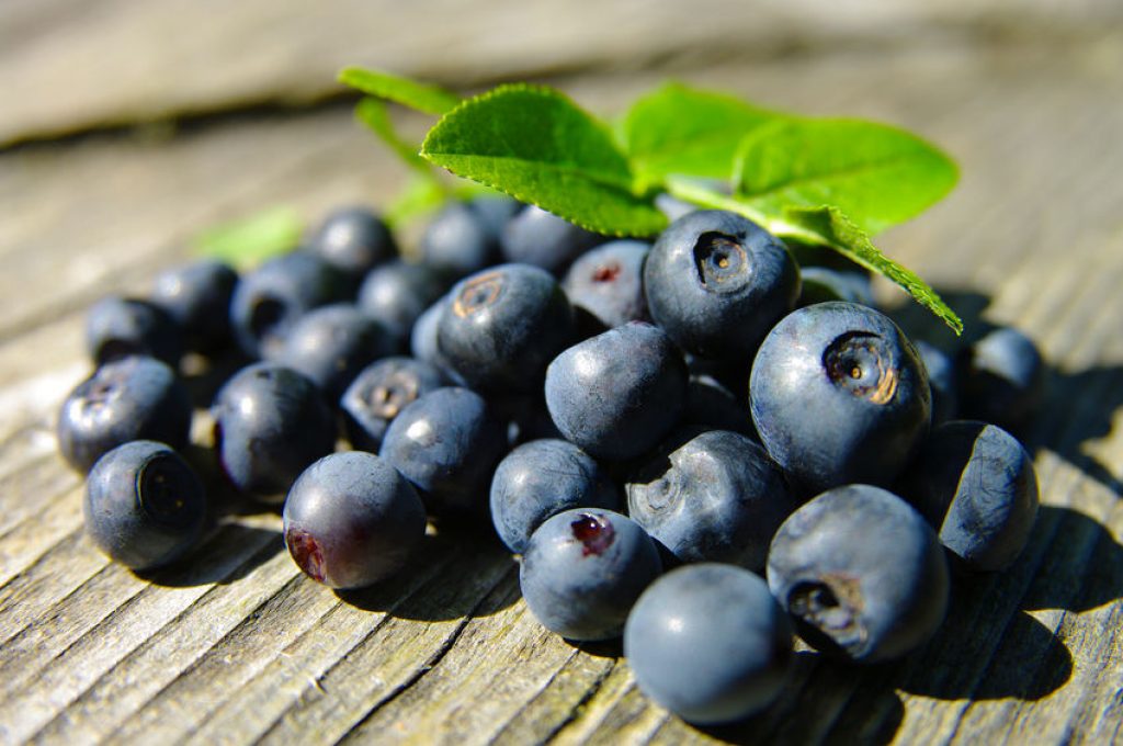 Bilberry