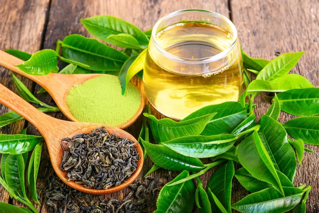 GREEN TEA EXTRACT