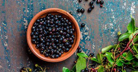 MAQUI BERRY