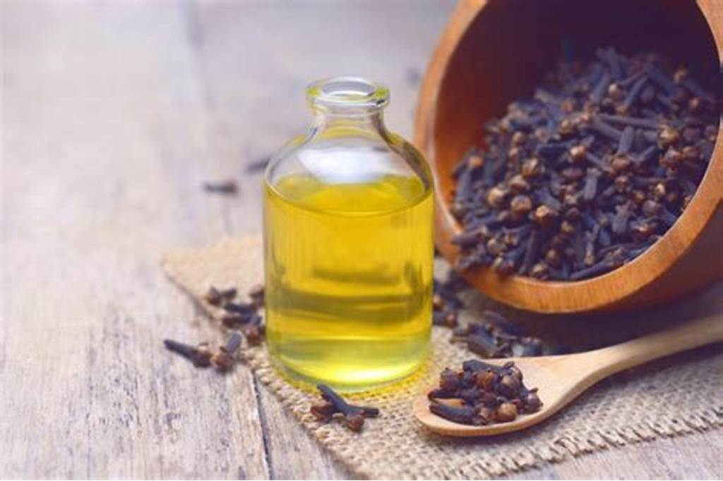 Clove Bud Oil