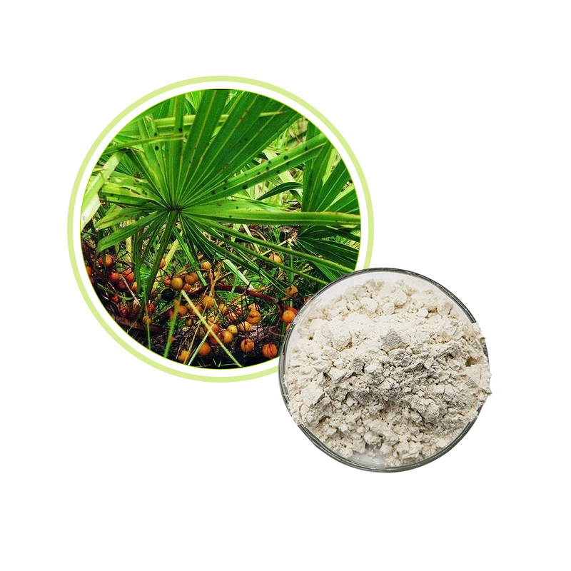 SAW PALMETTO EXTRACT