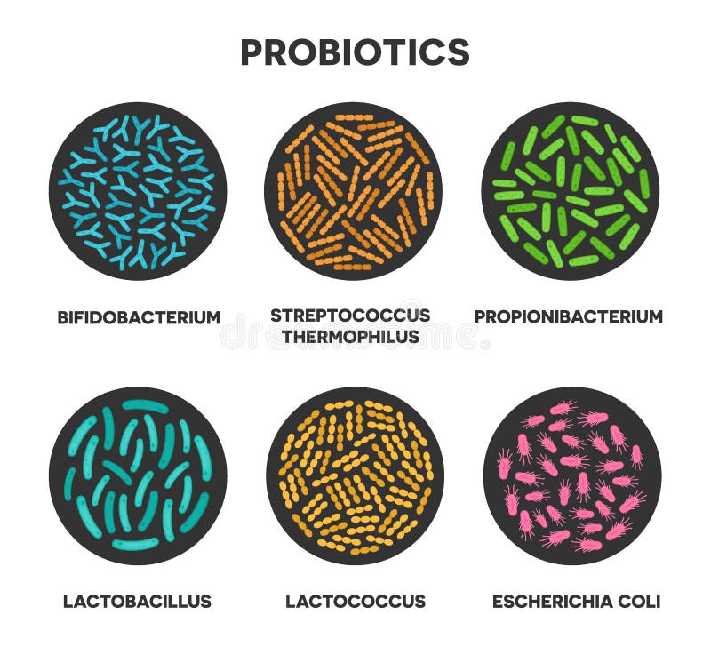  Probiotic Strains
