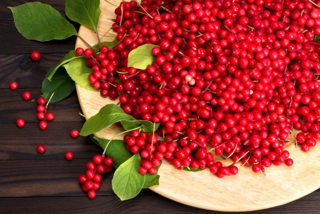 Schisandra
