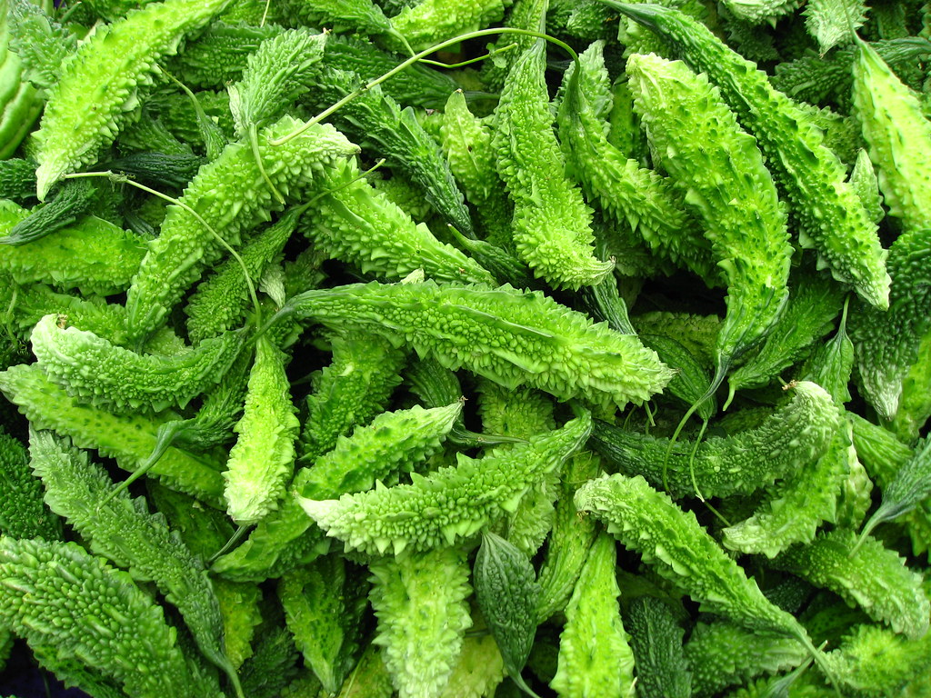 Momordica Charantia (Bitter Melon)

