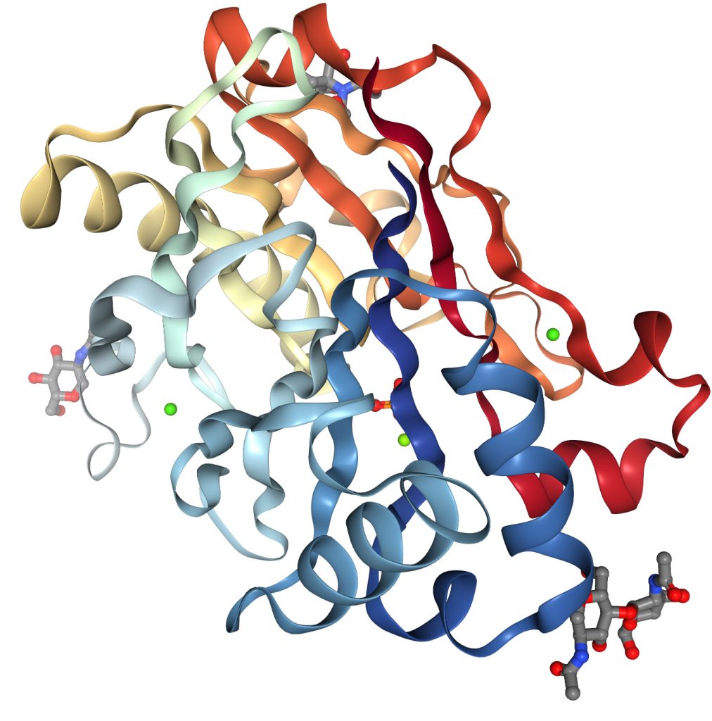 Deoxyribonuclease