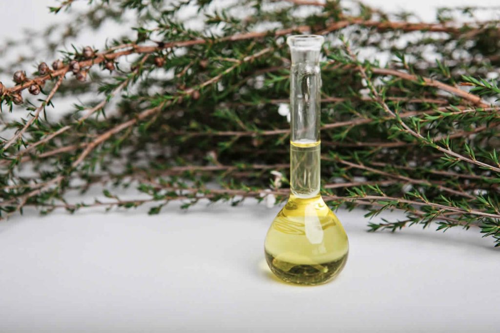 Manuka Oil
