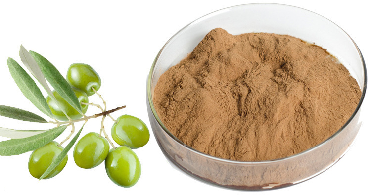 Elaion Tree Leaf Extract
