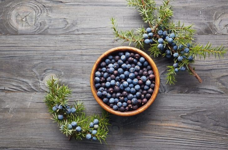 Juniper Berries