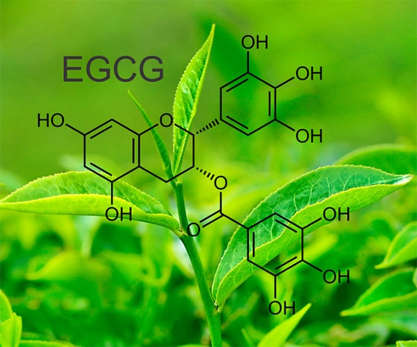 EGCG (Epigallocatechin Gallate)