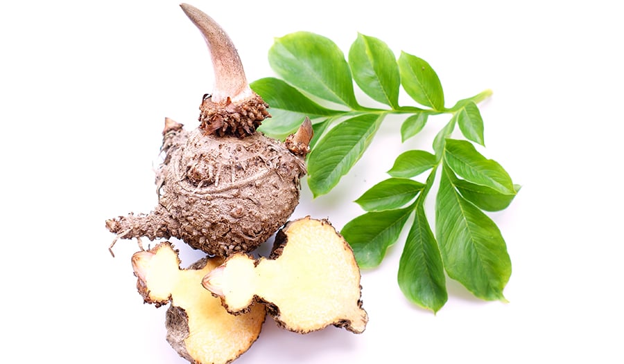 Konjac Root (Glucomannan)