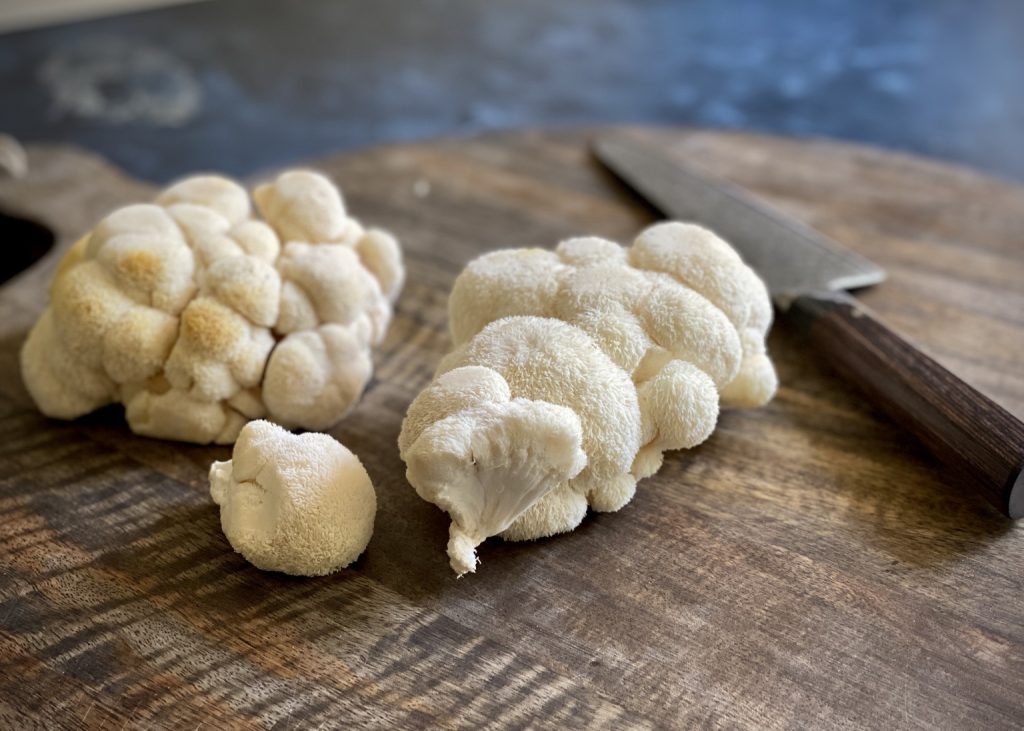 Organic Lion’s Mane