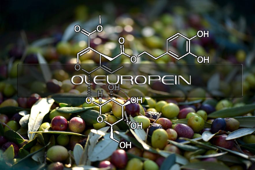 Oleuropein